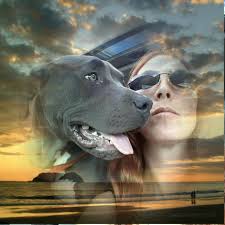 Hey everyone I'm new to this group I'm in need of a computer for my 05  chevy blazer 4.3 if anyone know where to get one cheap please let me know  thanks. |