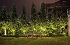 Pin By Allison Marie On Contemporary Gardens Landscape Design Outdoor Landscaping Landscape Lighting