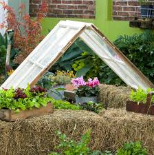 Riesenauswahl an produkten für zuhause. Diy Greenhouse How To Build A Greenhouse Better Homes And Gardens