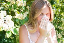 What Hay Fever Medication Can I Take When Pregnant From Tablets To Nasal Sprays