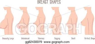 Eps Illustration Breast Shape Chart Vector Clipart