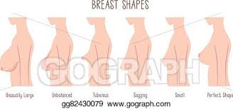 Eps Illustration Breast Shape Chart Vector Clipart