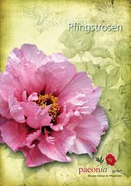 Ich verfüge über eine kreditkarte (mastercard, visa, american express, postfinance card) oder twint und kann/will die gebühr auf diese weise bezahlen. Paeonia Eine Weitere Wordpress Website