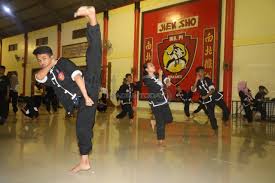 Gambar lingkaran berekor / huruf q, melambangkan kekuatan rohani / bathin / qontak (tenaga dalam) serta melambangkan hubungan antara warga iks.pi kera. Iks Pi Kera Sakti Organisasi Bela Diri Muda Yang Mendunia Madiuntoday