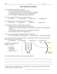 Test preparation rna translation biology. Dna Replication Worksheets Reviewed By Teachers