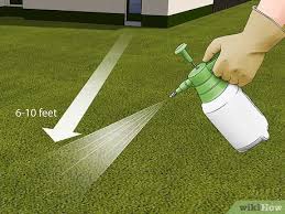 We did not find results for: How To Get Rid Of Earwigs 12 Steps With Pictures Wikihow