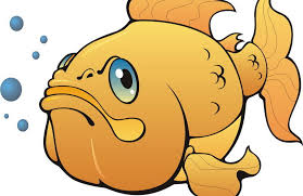 Cel mai mare peste prins vreodata.:)) свернуть ещё. Foto Acesta Este Cel Mai Mare PeÈte Pe Care L Ai VÄzut VreodatÄ E Ca Un Monstru