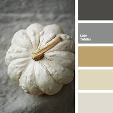 If sophisticated and timeless describe your home, gray is your color! Dark Grey Color Palette Ideas