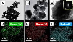 Green synthesis, characterization, antibacterial, and antifungal activity  of copper oxide nanoparticles derived from Morinda citrifolia leaf extract  | Scientific Reports