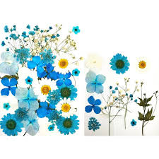 Drying flowers allows you to preserve the beauty of a flower and use them in a variety of other items like soap and cardstock. Buy Pressed Flowers Small Dried Flowers Scrapbooking Dry Diy Preserved Flower Decor At Affordable Prices Free Shipping Real Reviews With Photos Joom