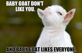 25 Of The Funniest Goat Memes So Far Let S Eat Cake