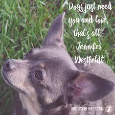 Explore our collection of motivational and famous quotes by authors you know chihuahua quotes. Irresistible Dog Quotes Irresistible Pets