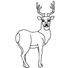 Free, printable coloring pages for adults that are not only fun but extremely relaxing. Top 20 Deer Coloring Pages For Your Little Ones