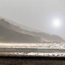 Les Falaises Des Vaches Noires Vache Noire Villers Sur Mer Falaise