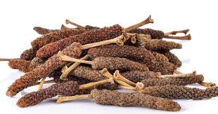 Almost all part is edible; 5 Manfaat Jamu Cabe Puyang Untuk Kesehatan Popmama Com