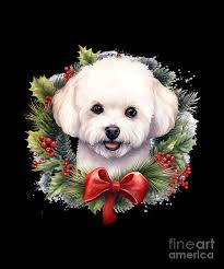 Bichon Frise Christmas Puppy Winter Dog Wreath Red Poster by Heidi Joyce