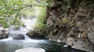 El manik (el tlayan bosque la primavera)estamos a 7 km de tala jalisco dentro del el complejo el tlayan en el bosque de la primavera. Bosque La Primavera Guadalajara Y Zapopan Turimexico