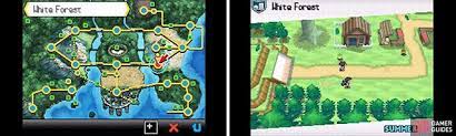 Is there the white forest or is there the black city? White Forest East Unova Post Game Walkthrough Pokemon Black White 2 Gamer Guides