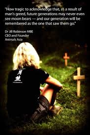 Moon Bears Moon Bear Animal Abuse Stop Animal Cruelty