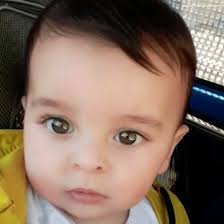 Instagram 用户 Mohammad Bigdeli