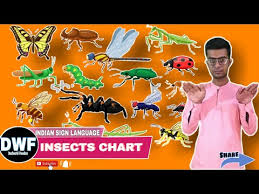 Check out our sign language chart selection for the very best in unique or custom,. American Indian Sign Language Chart Detailed Login Instructions Loginnote