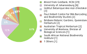 Image result for Secamone africana