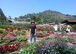 Deretan bunga disusun sebagai gerbang dengan ornamen welcome to kebun begonia lembang. Butuh Bunga Bunga Selagi Di Bandung Ini Tempat Yang Pas Untukmu Tamasya