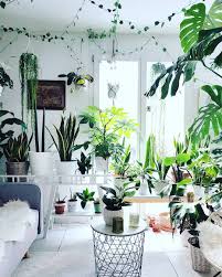 Mee Schmid Plantlady On Instagram Can You Imagine This Space Without Plants It Would Look So Empty A Sofa A Chair Haus Kuchen Kuchendesign Kuchenumbau