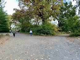 We did not find results for: How To Walk Run The Central Park Bridle Path Map Details Guide