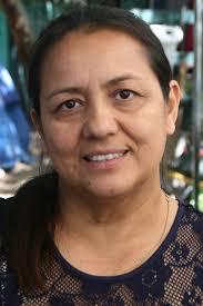 Artifac Tree Has Hidden Treasures for Home Cooks