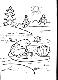 Easy and free to print frog coloring pages for children. Frog Color Pages For Children Activity Shelter