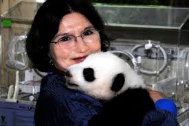 Colorado's Patron Saint Of Pandas: 'There's Still A Long Way To Go'