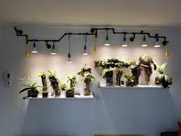 The most technologically advanced led lights have completely revolutionized indoor and greenhouse growing. Review Results Using Ikea Vaxer Led Plant Grow Bulb Par30 E26 Orchid Board Most Complete Orch Indoor Plant Lights Indoor Grow Lights Growing Plants Indoors