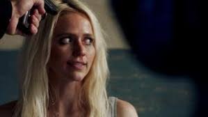 Watch Quantico Online