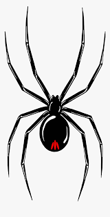 5 out of 5 stars. Black Widow Spider Clipart Hd Png Download Transparent Png Image Pngitem