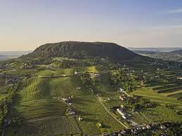 Image result for Medium Walnut 1990 Tracer