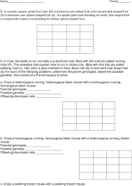 Worksheets 45 inspirational dihybrid cross worksheet hd wallpaper from dihybrid cross worksheet , source: Ex A Tall Green Pea Plant Ttgg Is Crossed With A Short White Pea Plant Ttgg Tt Or Tt Tall Tt Short Gg Or Gg Green Gg White Pdf Free Download