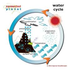 Water Cycle Chart