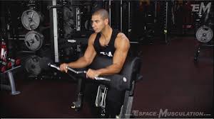Curl concentré, musculation biceps : Curl Barre Pronation Au Larry Scott Exercice De Musculation Biceps Youtube