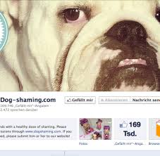 Um diesen zu entfernen, nimm zunächst so viel des noch feuchten urins wie möglich auf. Social Media Dumme Hunde Landen Am Online Pranger Welt
