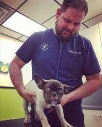 Veterinary Medicine In Fort Worth Tx Family Petcare