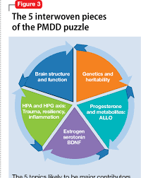 Pmdd is thought to be caused by disturbances that alter your brain's neurochemistry and communication circuits. The Etiology Of Premenstrual Dysphoric Disorder 5 Interwoven Pieces A Better Understanding Of The Causes Of Pmdd Can Lead To Improved Diagnosis And Treatment Semantic Scholar