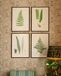 Come inside to celebrate the art of the fern with us? Ferns I Framed Art Framed Art Wall Art Products