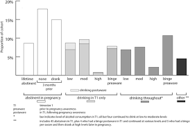 Did You Ever Drink More A Detailed Description Of Pregnant Women S Drinking Patterns Bmc Public Health Full Text