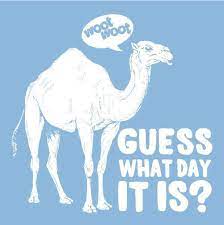 2) how did a lot of it get saved in the super smash brothers brawl, perhaps the most overrated game of all time that a million of fan boys idolize. Mike Hump Day Camel Meme