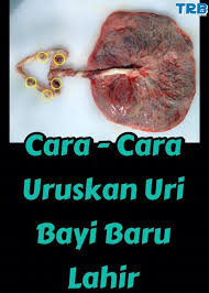 Cara terbaik dan yang harus sobat lakukan pertama kali adalah memeriksa bagian karet penahan air bisanya, mesin cuci yang mengalami bocor atau tidak menampung air memiliki karet yang sudah. Cara Cara Untuk Si Bapa Ibu Wanita Dunia Si Manja Facebook
