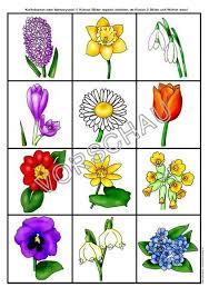 Fruhbluher Werkstatt Fur Die Grundschule Fruhlingsblumen Basteln Basteln Fruhling Kinder Bastelideen Fruhling