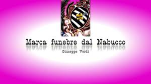 Image result for anici