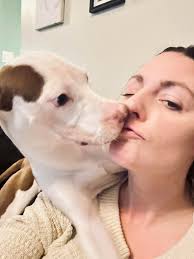 Poppy's 3rd Birthday Celebration and Adoption