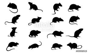 Pin On Silhouette Cats And Mice